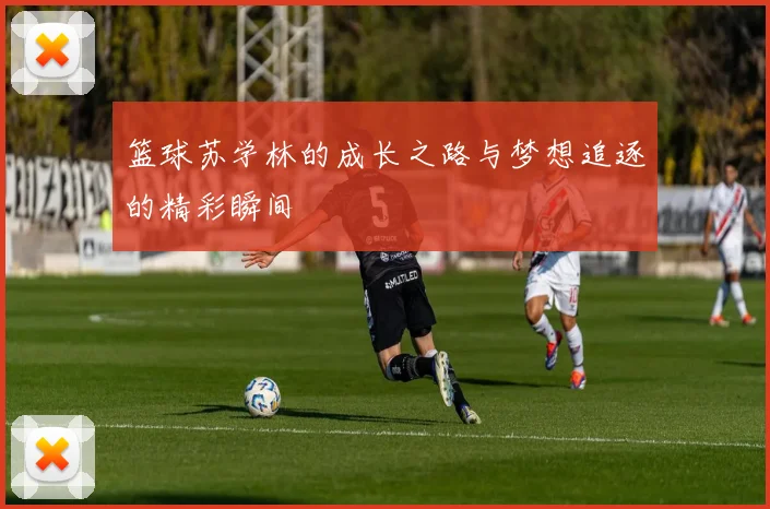 篮球苏学林的成长之路与梦想追逐的精彩瞬间