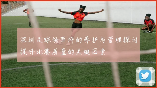 深圳足球场草坪的养护与管理探讨提升比赛质量的关键因素