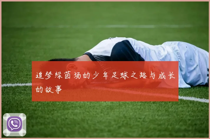 追梦绿茵场的少年足球之路与成长的故事