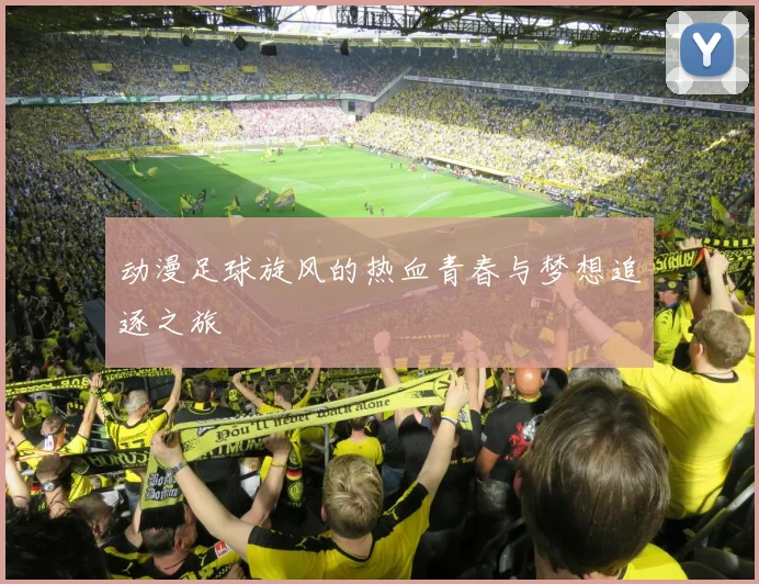 动漫足球旋风的热血青春与梦想追逐之旅